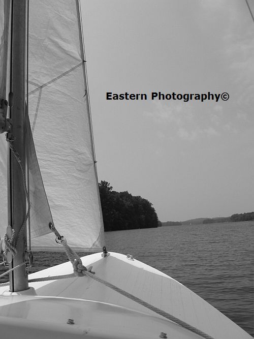 sailboat2.jpg